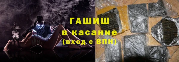 прущие грибы Алзамай
