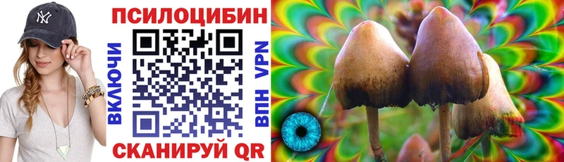 Псилоцибиновые грибы GOLDEN TEACHER  Ясный 