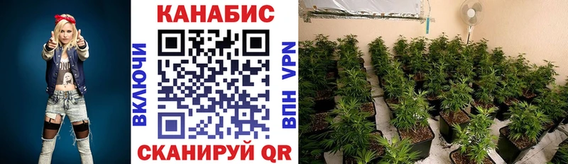 Канабис AK-47 это официальный сайт Ясный где можно купить наркотик